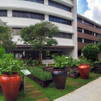Science Garden